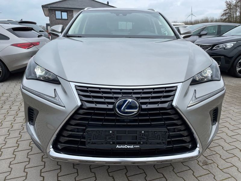 Lexus NX • 2019 • 116,873 km 1