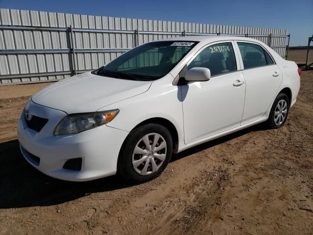 Toyota Corolla • 2010 • 13 km 4