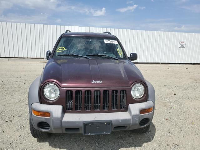 Jeep Liberty • 2004 • 12 km 1