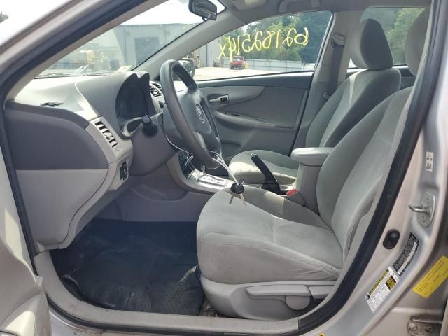 Toyota Corolla • 2010 • 10,000 mi 7