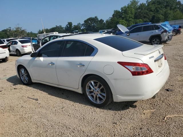 Nissan Maxima • 2013 • 10,000 mi 4