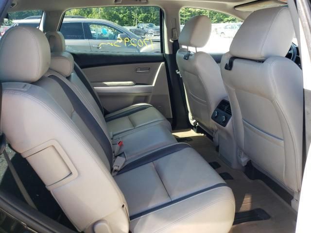 Mazda CX-9 • 2010 • 10,000 mi 7