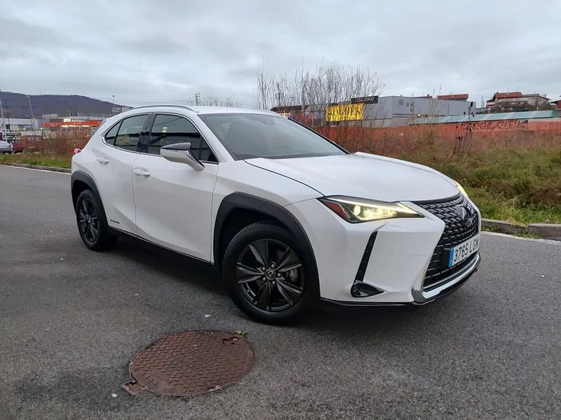 Lexus UX • 2020 • 66,000 km 1