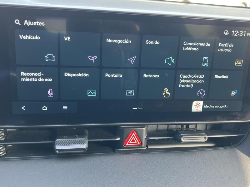 Hyundai Ioniq Electric • 2024 • 20,256 km 12