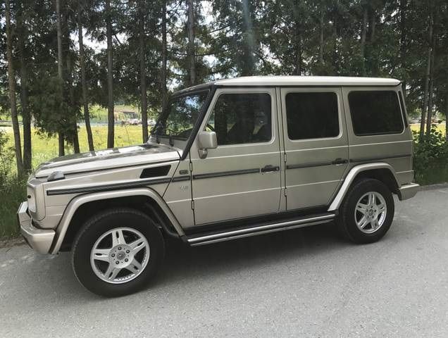 Mercedes-Benz G-Class • 2002 • 227,000 km 1