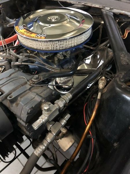 Ford Mustang • 1966 • 9,999 km 10