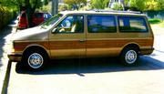 Dodge Grand Caravan • 1989 • 0 km 3