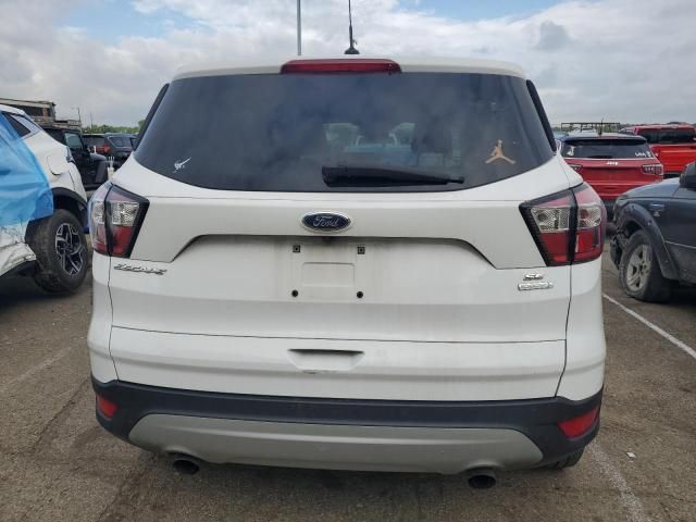 Ford Escape • 2017 • 10,000 mi 5