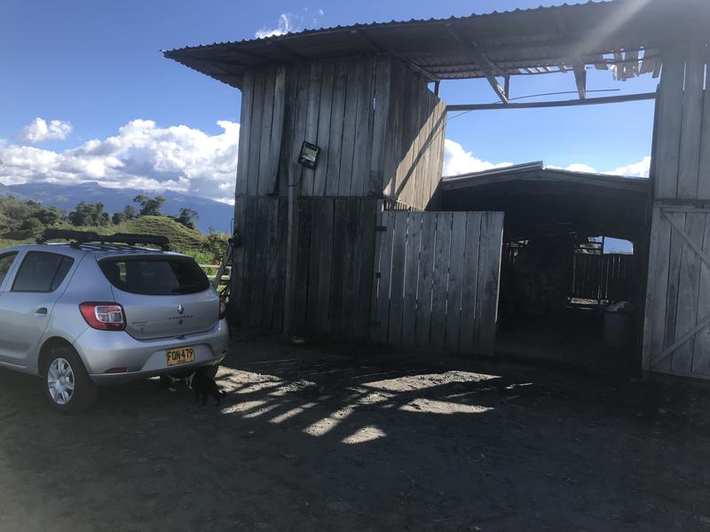 Renault Sandero • 2020 • 520,000 km 1