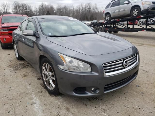 Nissan Maxima • 2014 • 10,000 mi 1