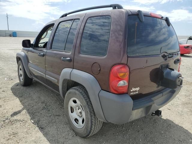 Jeep Liberty • 2004 • 12 km 3