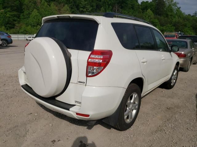 Toyota RAV4 • 2011 • 0 km 4