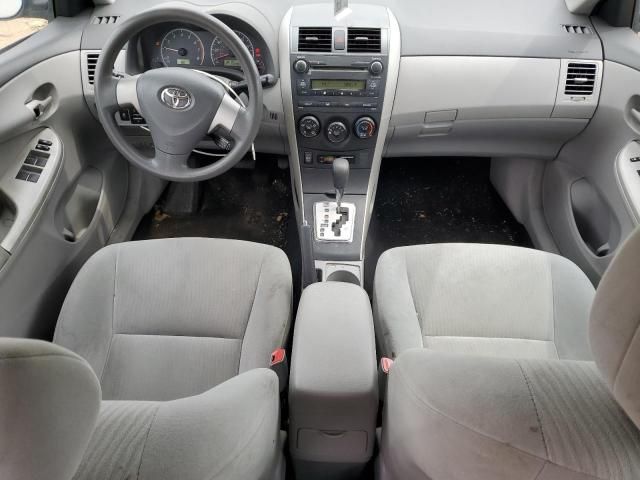 Toyota Corolla • 2010 • 10,000 mi 8