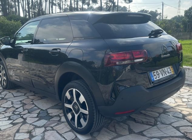 Citroën C4 Cactus • 2018 • 79,000 km 2