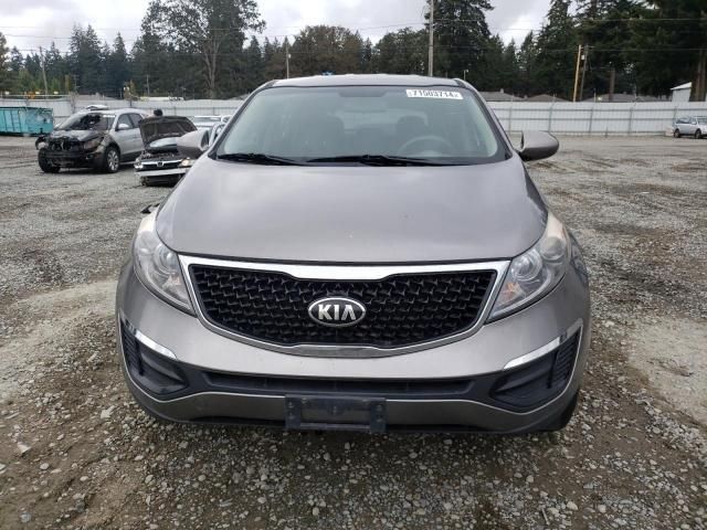 Kia Sportage • 2016 • 10,000 mi 2