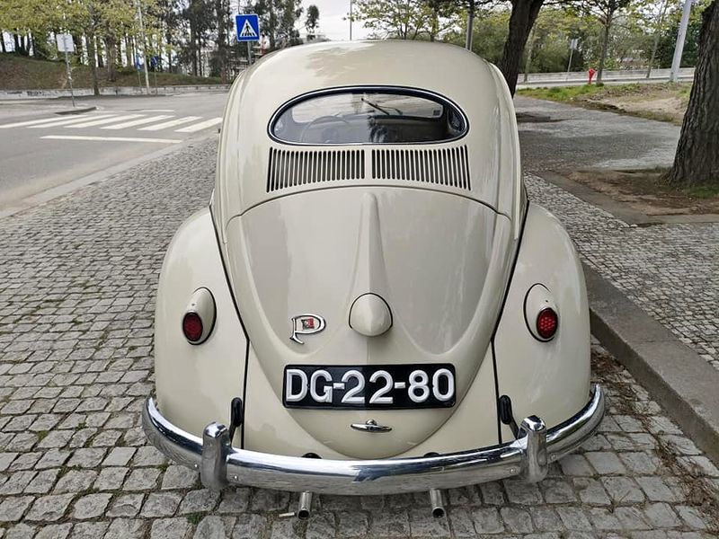 Volkswagen New Beetle • 1955 • 126,000 km 6