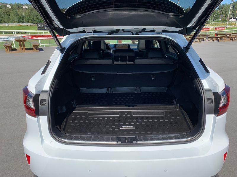 Lexus RX 450h • 2016 • 55,600 km 6