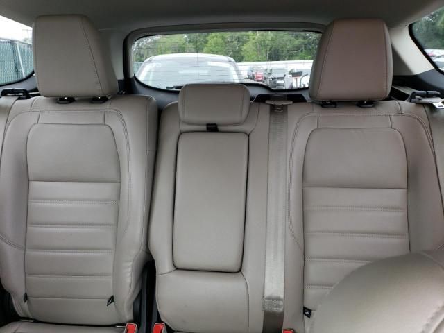 Ford Escape • 2018 • 10,000 mi 10