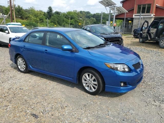 Toyota Corolla • 2010 • 10,000 mi 1