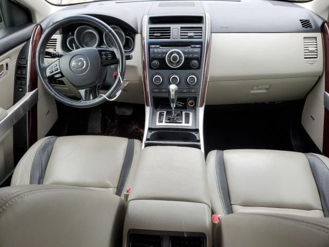 Mazda CX-9 • 2010 • 10,000 mi 6