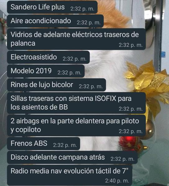 Renault Sandero • 2019 • 2,896 km 9