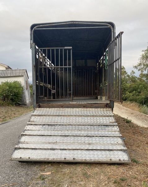 Toyota Dyna • 1997 • 187,627 km 4