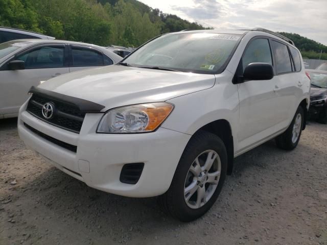 Toyota RAV4 • 2011 • 0 km 3