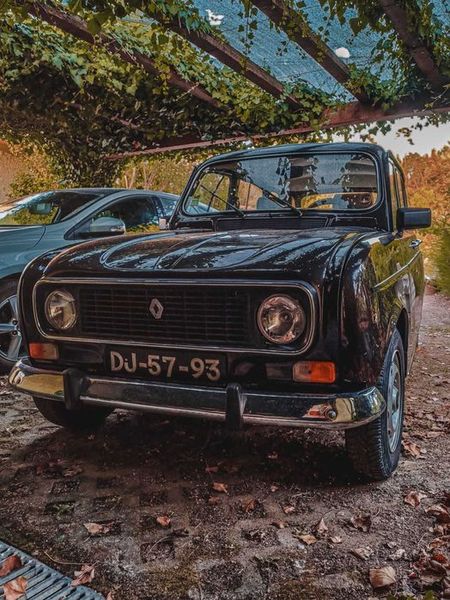 Renault Scénic • 1984 • 135,000 km 1
