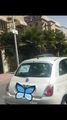 Fiat 500 • 2013 • 41,000 km 2