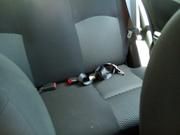 Nissan March • 2016 • 33,500 km 4