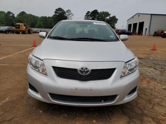 Toyota Corolla • 2010 • 10,000 mi 1