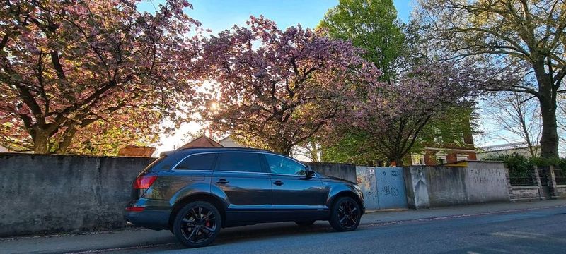Audi Q7 • 2006 • 254,000 km 1