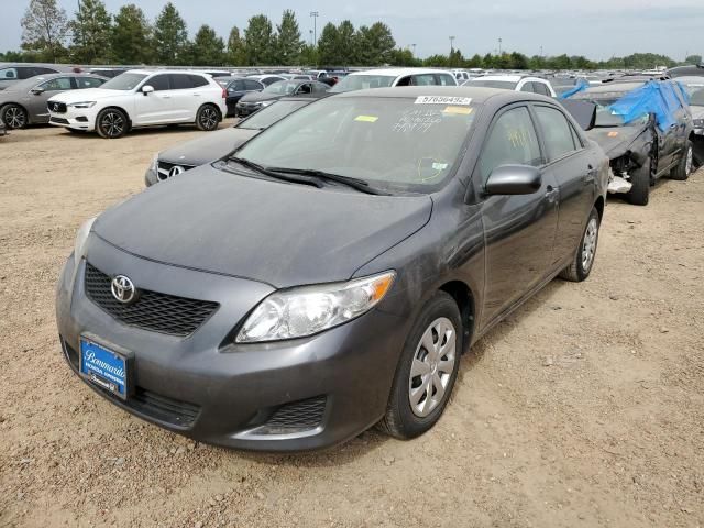 Toyota Corolla • 2010 • 33 km 4