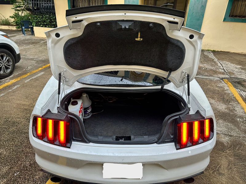 Ford Mustang • 2016 • 10,000 km 9