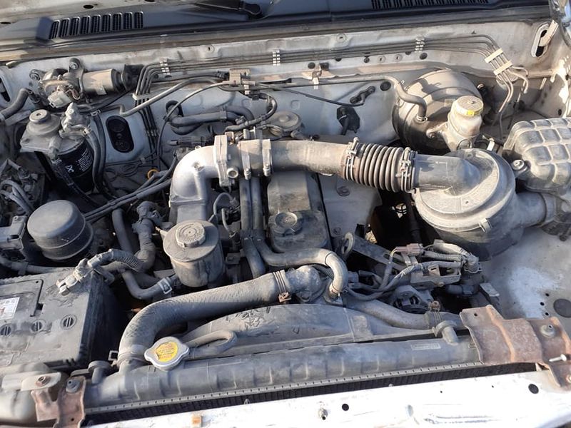 Nissan Pickup • 2002 • 99,000 km 5