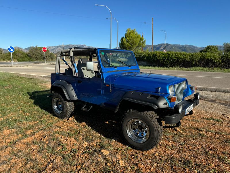 Jeep Wrangler • 1993 • 140,000 km 1