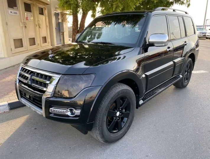 Mitsubishi Pajero • 2019 • 34 km 1