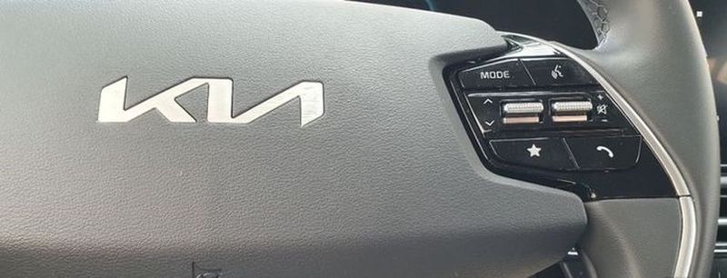Kia Niro • 2023 • 3,900 km 13