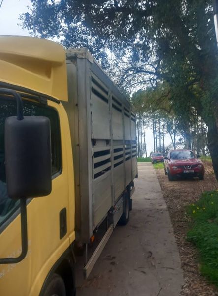 Isuzu Canter • 2011 • 195,000 km 6