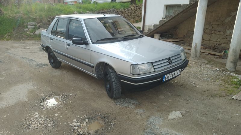 Peugeot 309 • 1990 • 247,500 km 18