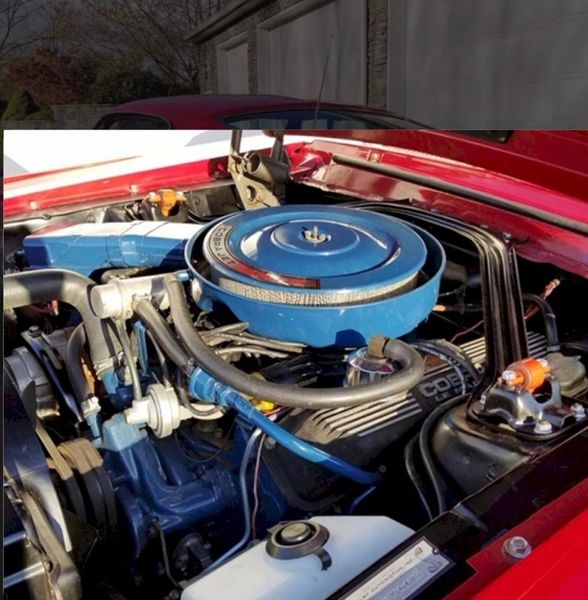 Ford Shelby GT500 • 1968 • 82,000 mi 10