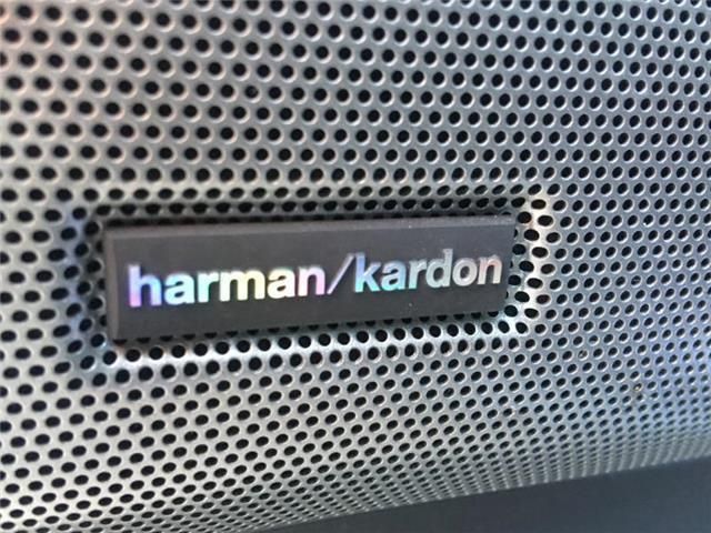 Land Rover Discovery • 2010 • 164,800 km 7