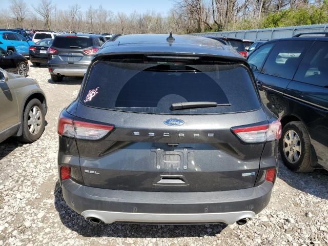 Ford Escape • 2020 • 10,000 mi 5