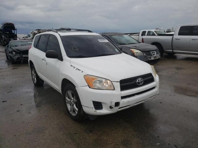 Toyota RAV4 • 2005 • 50,000 km 3