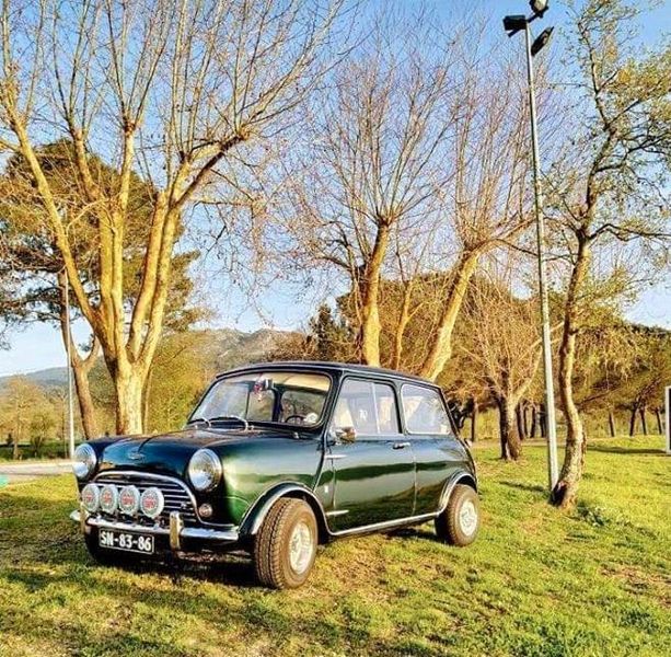 MINI Cooper • 1967 • 4,200 km 1