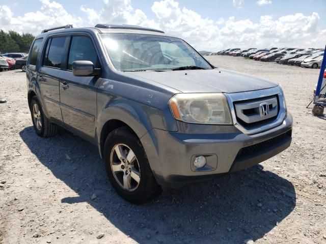 Honda Pilot • 2010 • 12 km 1