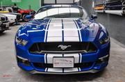 Ford Mustang • 2017 • 1,000 km 1