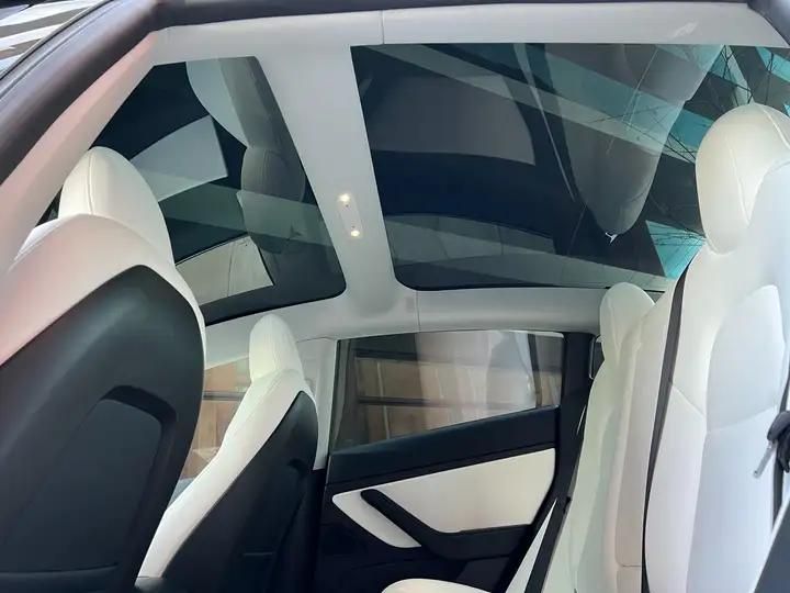 Tesla Model 3 • 2020 • 10,096 km 5