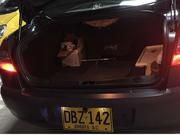 Renault Megane II • 2009 • 1,380,000 km 6