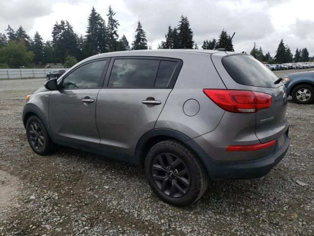 Kia Sportage • 2016 • 10,000 mi 4